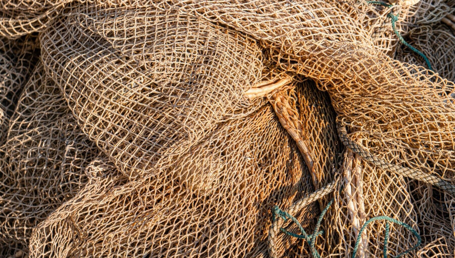 Plasă pentru pescuit