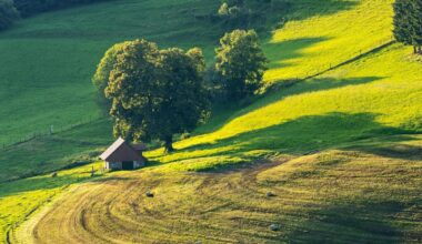 Un milionar a construit o fermă uriașă care să-i asigure supraviețuirea în diferite scenarii apocaliptice. Aceasta poate găzdui sute de oameni