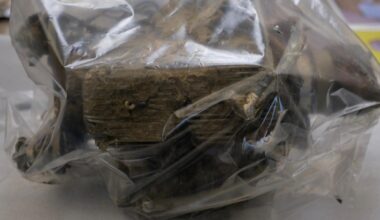 Ambasada Rusiei reacționează la dovezile Ministerului român de Externe privind drona căzută în județul Tulcea