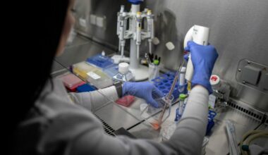 Descoperire revoluționară! Bacterii care distrug cancerul fără să implice sistemul imunitar