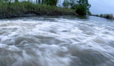 „Situația de la Paltinu este critică”