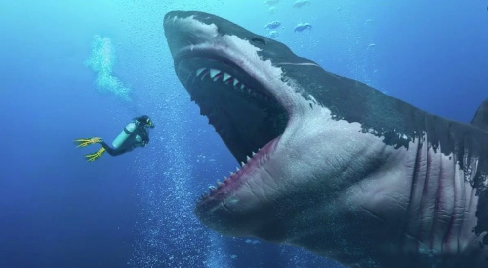 O turistă elveţiană de 25 de ani a murit în Australia, sfâșiată de un rechin, sub ochii partenerului