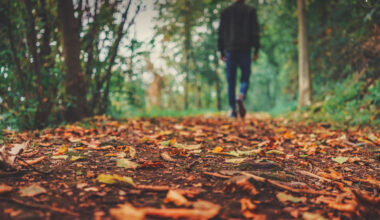 Cum va fi vremea luni, 17 noiembrie. Meteorologii anunță temperaturi neobișnuite pentru această perioadă din an