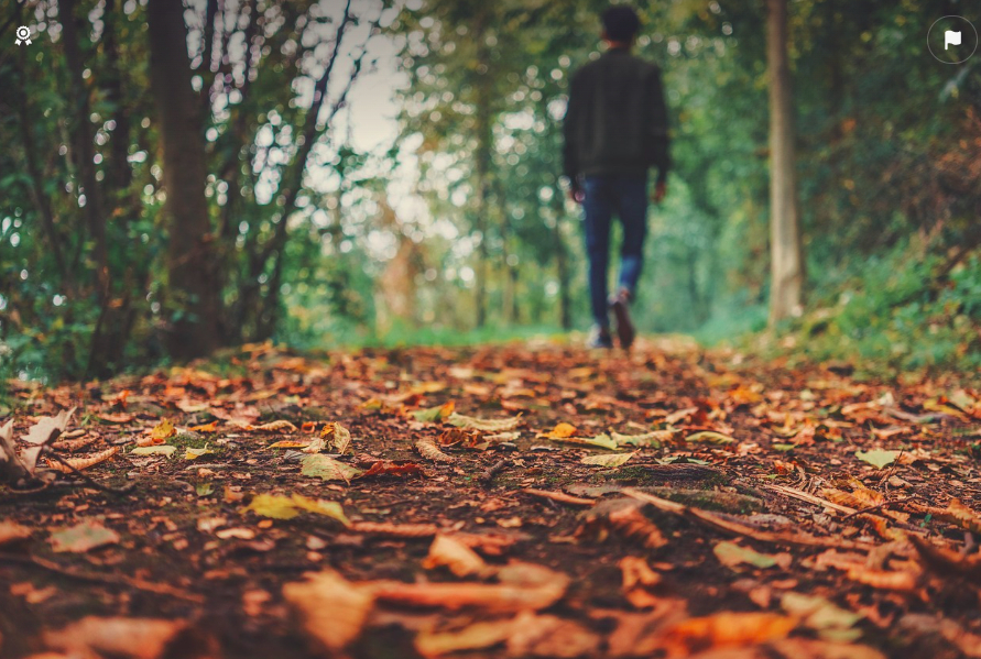 Cum va fi vremea luni, 17 noiembrie. Meteorologii anunță temperaturi neobișnuite pentru această perioadă din an