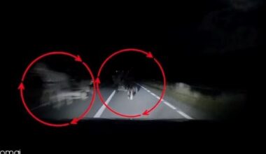 Imagini șocante de la un accident în Maramureș. Depășire între două căruțe nesemnalizate, noaptea. Una a fost spulberată de o mașină cu 107km/h. Căruțașul avea alcoolemie 0.91 VIDEO