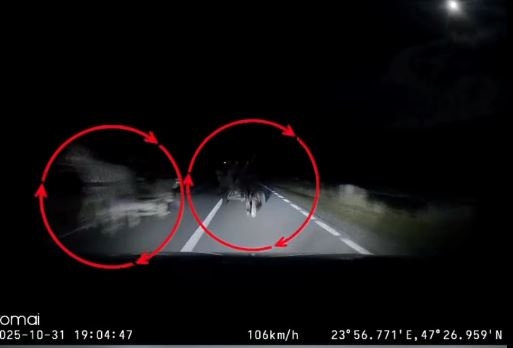 Imagini șocante de la un accident în Maramureș. Depășire între două căruțe nesemnalizate, noaptea. Una a fost spulberată de o mașină cu 107km/h. Căruțașul avea alcoolemie 0.91 VIDEO