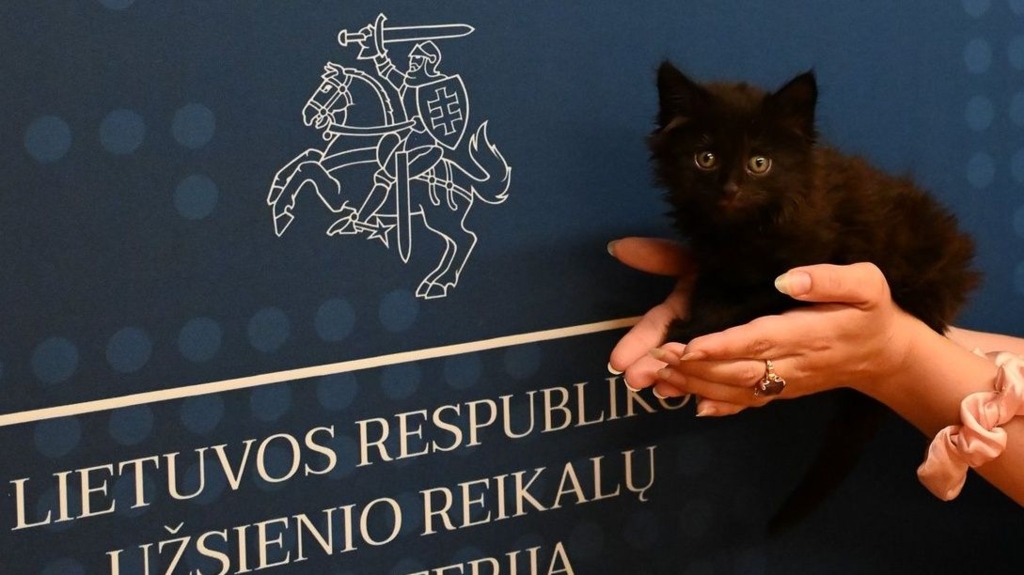 ''Pisica Oficială a Ministerului Afacerilor Externe''. Ce atribuții a primit motanul Rango, angajat la Departamentul de Comunicare Strategică