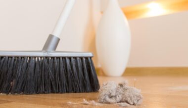 De unde provine de fapt praful din casă. Adevărul s-ar putea să te surprindă