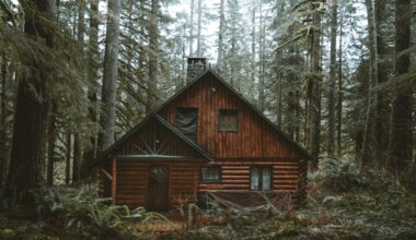 Cabanele Romsilva, scoase la închiriere în regim hotelier, pe Airbnb. Imobilele, localizate în zone turistice „premium”