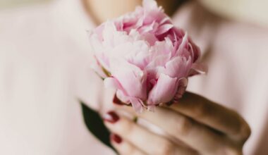 Un ONG cere Academiei Române schimbarea definiției pentru „femeie” din DEX. Motivul care stă la baza acestei cereri