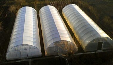 Nu va fi nicio taxă pe sere sau solarii