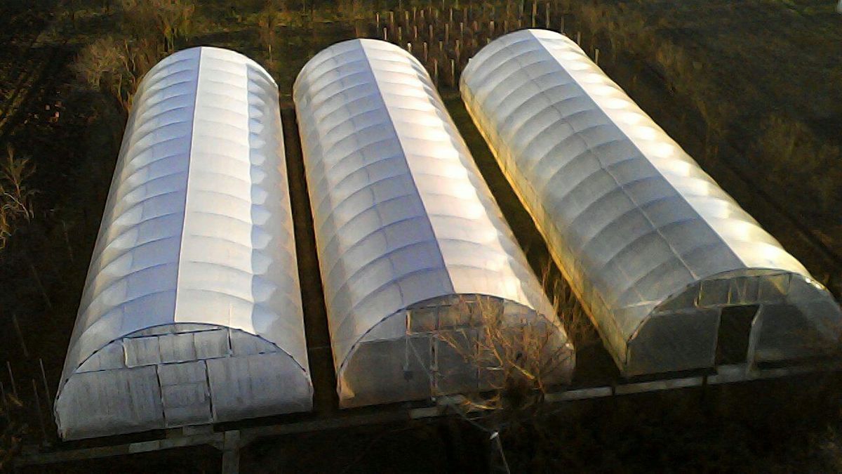 Nu va fi nicio taxă pe sere sau solarii