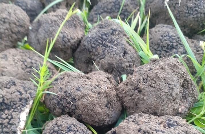 Trei administratori de firme, acuzaţi de evaziune fiscală şi delapidare