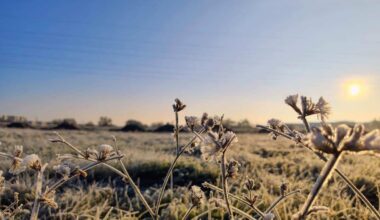 vremea în alba prognoza meteo