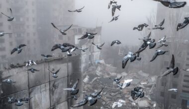 Soldații ucraineni din prima linie, despre planul de pace al SUA: „Băieții noștri sunt în tranșee. Ei au dreptul să decidă”