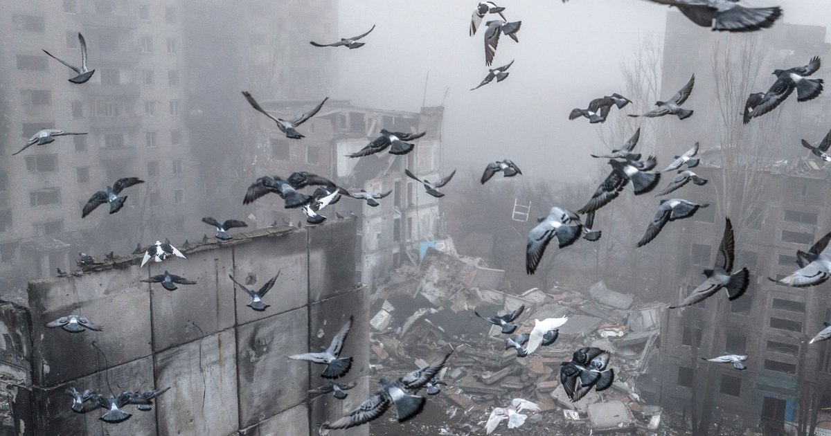 Soldații ucraineni din prima linie, despre planul de pace al SUA: „Băieții noștri sunt în tranșee. Ei au dreptul să decidă”