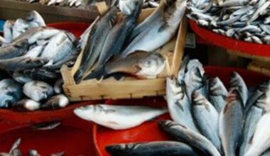 Pește cu larve parazitare retras de la vânzare de DSVSA