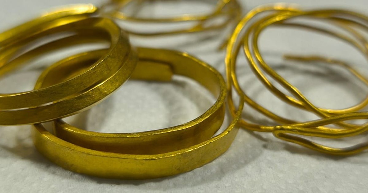 Comoara ascunsă sub copac: patru brățări de aur vechi de 3.300 de ani, descoperite într-o pădure din Gorj de un pasionat de detectoare