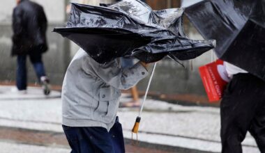 Cod portocaliu de vânt puternic anunțat de meteorologi. Vor fi rafale de 70-90 km/h. Județele care intră sub cod galben