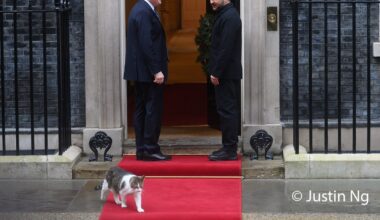 Larry, motanul de la Downing Street, a furat privirile în timpul vizitei lui Zelenski la Londra: „Lasați-l să intre, e frig”
