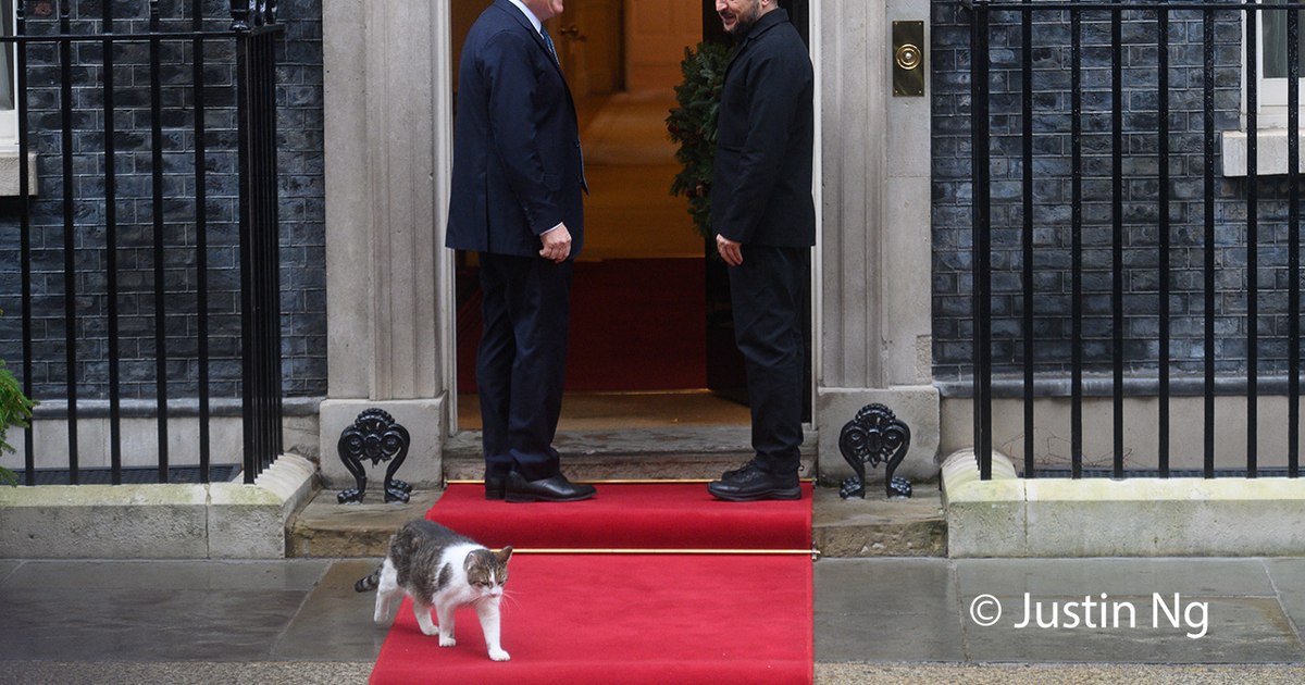 Larry, motanul de la Downing Street, a furat privirile în timpul vizitei lui Zelenski la Londra: „Lasați-l să intre, e frig”