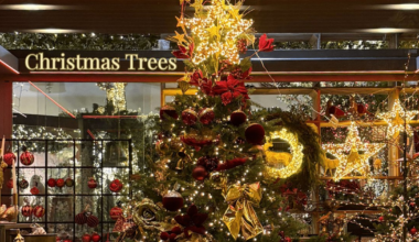 Top 10 brazi artificiali de Crăciun 2025 cu cele mai bune recenzii și extrareducere de până la 40% pe eMAG. Alege bradul perfect și profită de discounturi