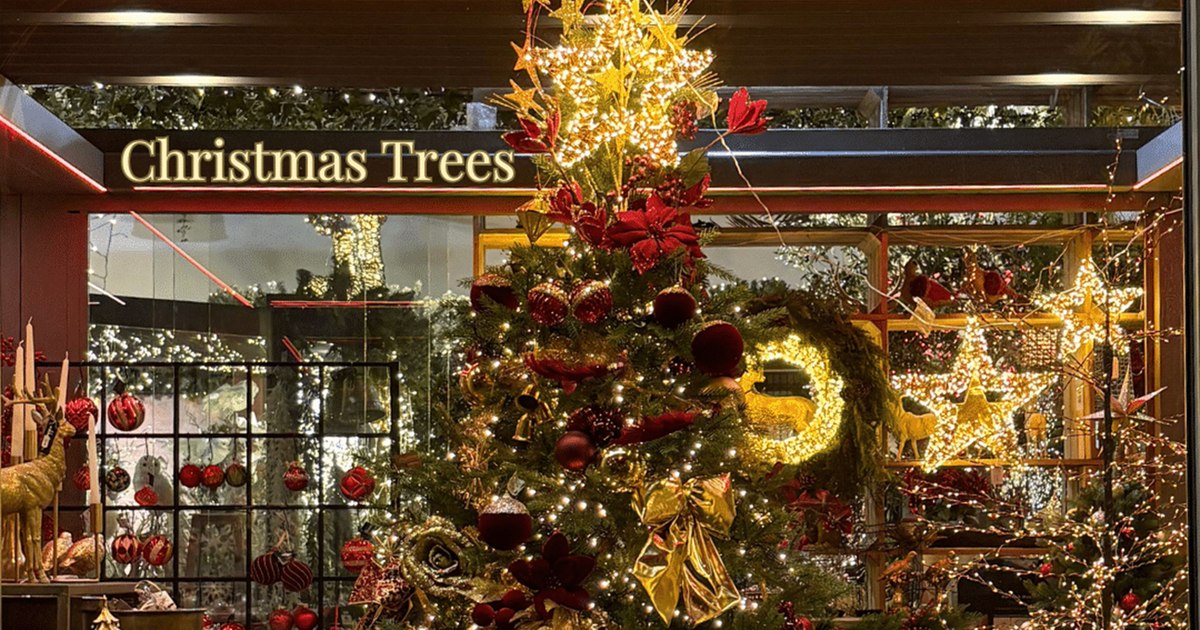 Top 10 brazi artificiali de Crăciun 2025 cu cele mai bune recenzii și extrareducere de până la 40% pe eMAG. Alege bradul perfect și profită de discounturi