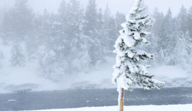 Vortexul polar, evoluție imprevizibilă: temperaturi peste normal și riscuri crescute de răciri bruște în săptămânile următoare