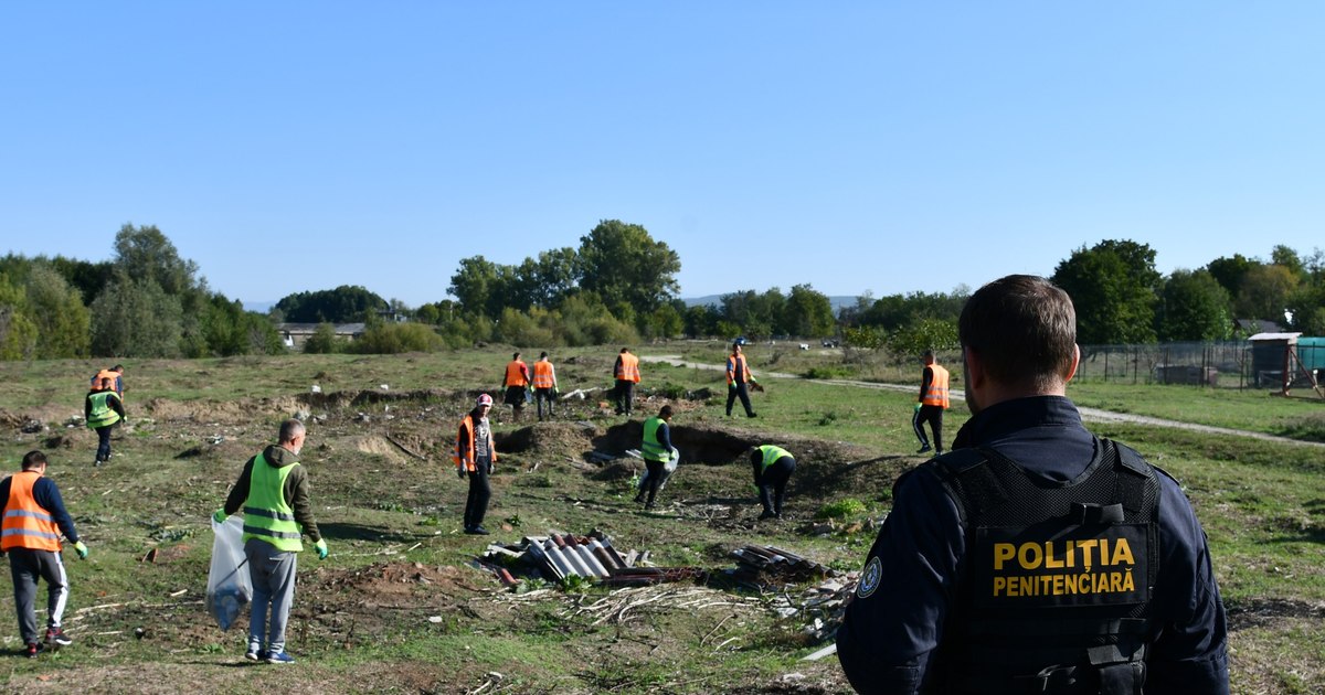 Ajutor în gospodărie de la deținuți: cât plătești pentru o oră de muncă. „Aveți de spart lemne, de săpat manual, de curățat pomii sau alte activități gospodărești?”