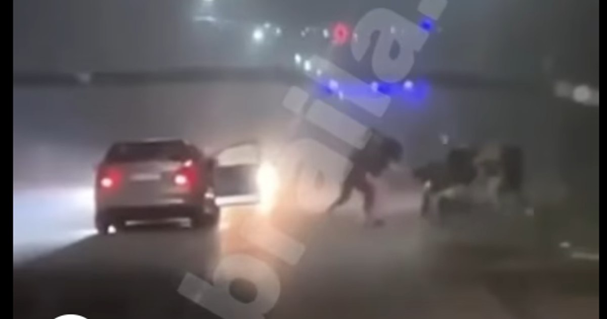 Un tată, fetița sa de trei ani și sora bărbatului, atacați pe o stradă din județul Brăila în timp ce se aflau în mașină