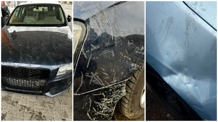 Proprietarii de animale de companie că sunt responsabili legal pentru pagubele produse. FOTO: Aradon