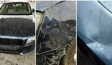 O haită de câini a distrus patru autoturisme în Arad: „Peste 6.000 de euro ne va costa repararea mașinii”