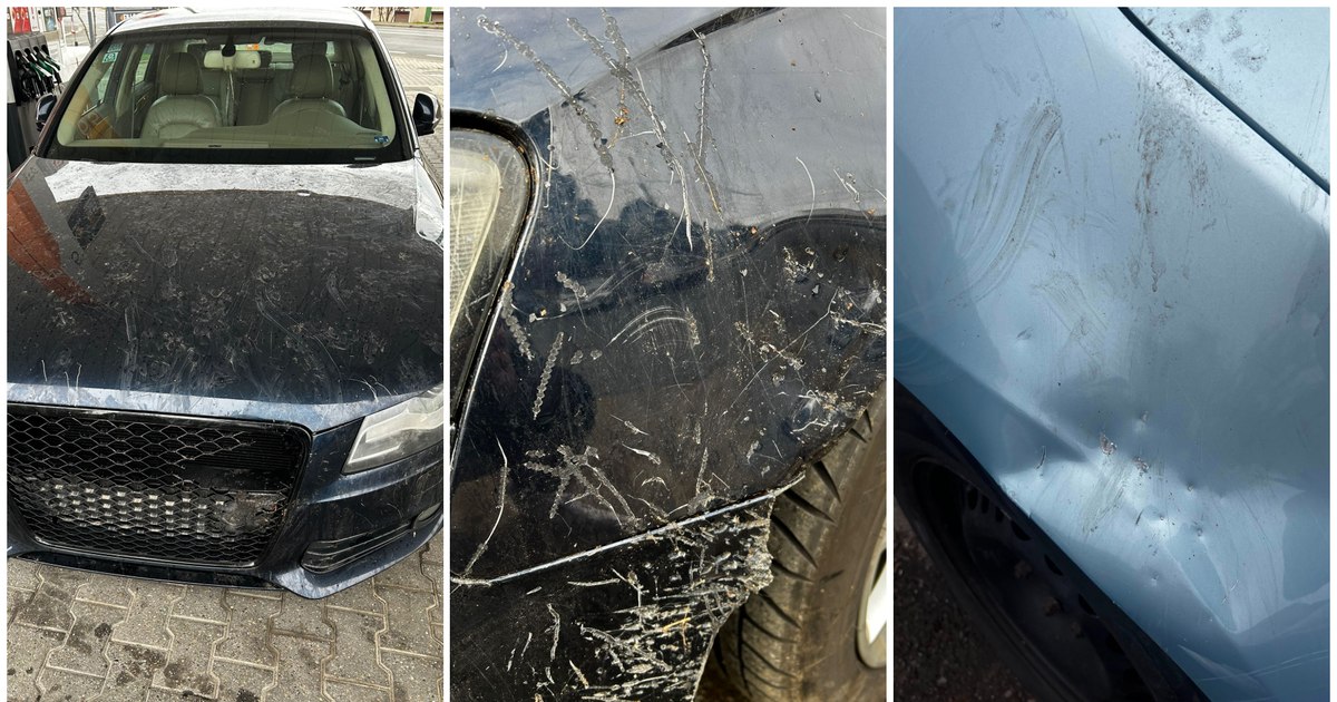 O haită de câini a distrus patru autoturisme în Arad: „Peste 6.000 de euro ne va costa repararea mașinii”