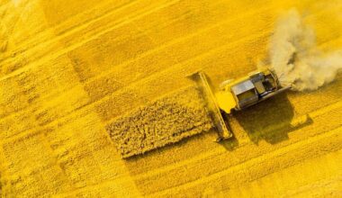 Situație critică în agricultură: „80% dintre fermieri nu-și mai pot plăti datoriile. Să-i execut sau să fiu eu executat?”