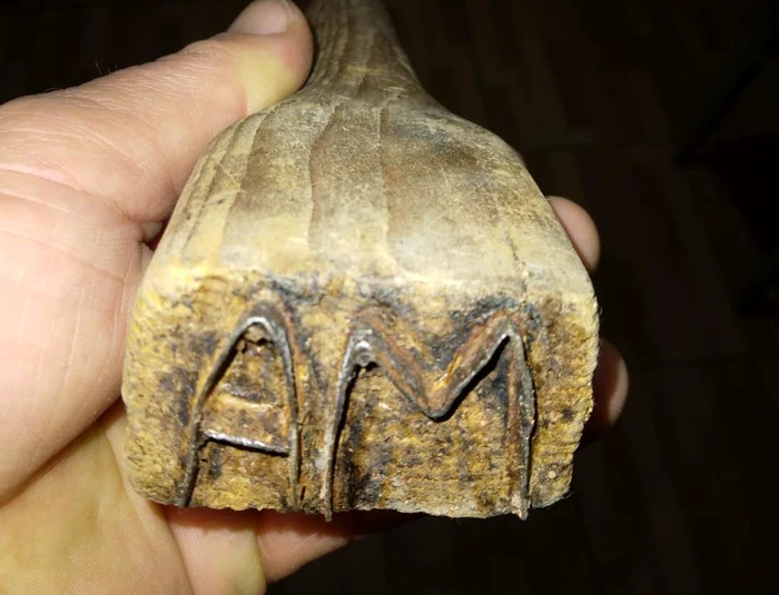 Slănină veche de 35 de ani  FOTO: FB/Daniela Cimpean