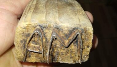 Misterul slăninii ascunse în ultima iarnă a comunismului, păstrată 35 de ani în turnul bisericii din Sibiu: „Să mai am hrană pentru familie”