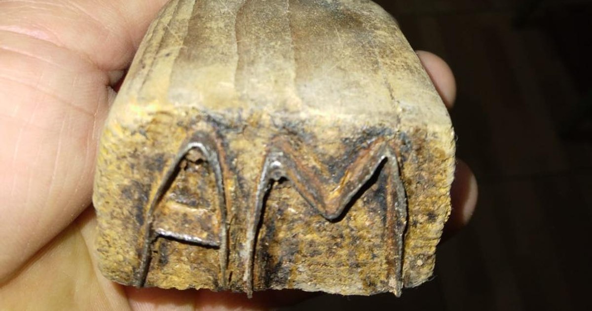 Misterul slăninii ascunse în ultima iarnă a comunismului, păstrată 35 de ani în turnul bisericii din Sibiu: „Să mai am hrană pentru familie”