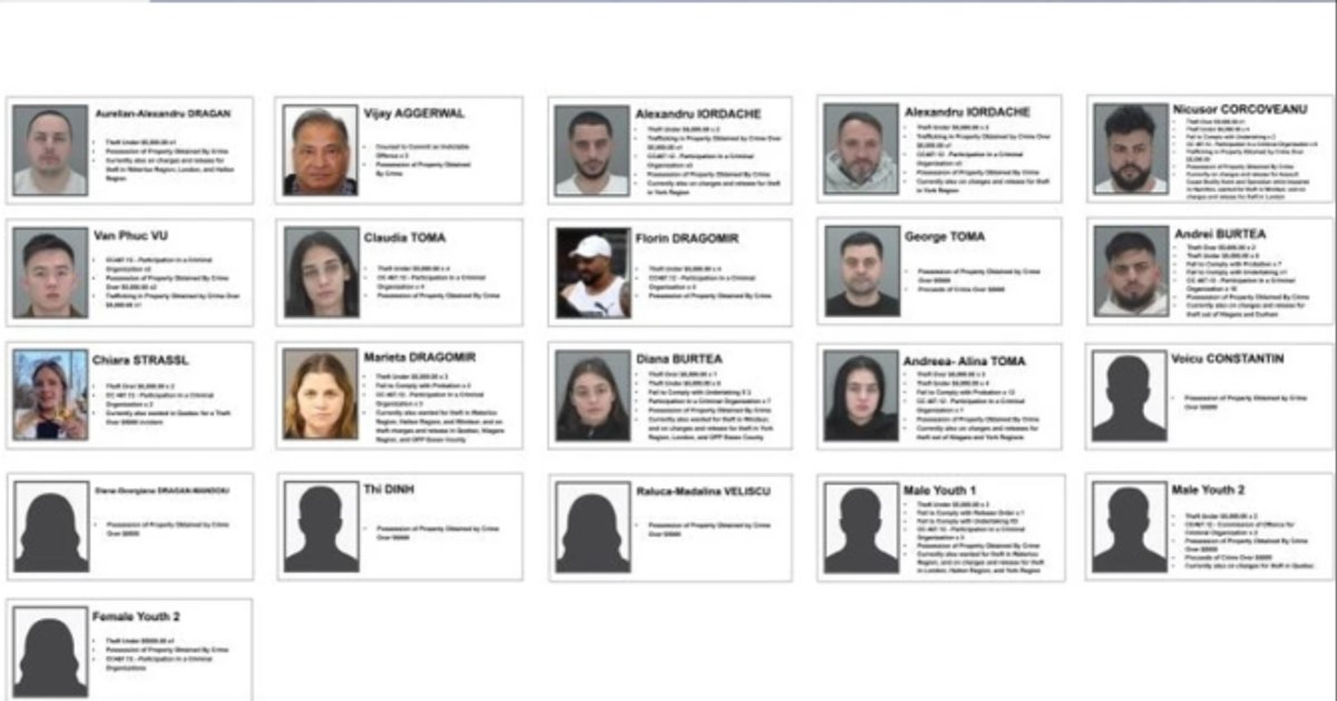 Români, implicați într-o rețea sofisticată de furturi din Canada: jafuri de peste un milion de dolari