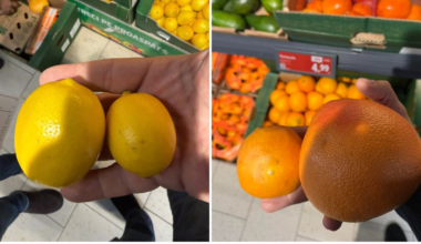 Director ANPC: „Suntem bătaia de joc a importatorilor de citrice! Cum ajung la raft?”