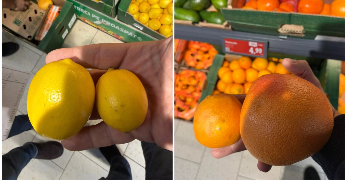 Director ANPC: „Suntem bătaia de joc a importatorilor de citrice! Cum ajung la raft?”