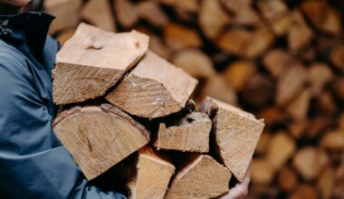 Romsilva lansează magazin online pentru lemne de foc. Cât costă un metru cub