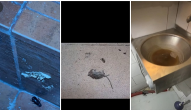 Șoarece mort, gândaci și mizerie de nedescris. ANPC a închis temporar un restaurant