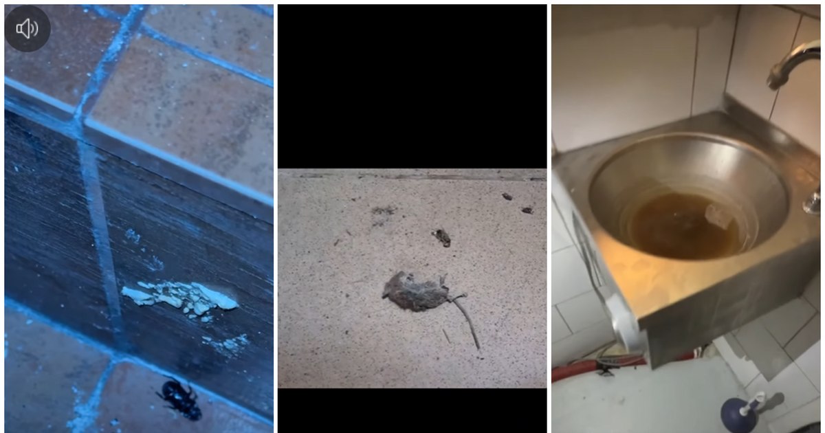 Șoarece mort, gândaci și mizerie de nedescris. ANPC a închis temporar un restaurant