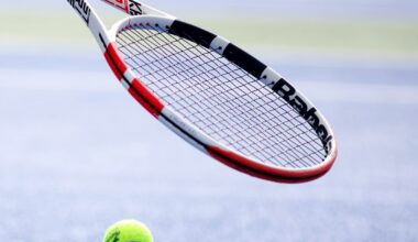 Tenisul mondial, zguduit de scandaluri de corupție. Încă un jucător de top, suspendat 12 ani pentru trucarea meciurilor