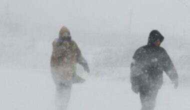 Iarna pune stăpânire pe România: ninsori în mare parte din țară, vânt puternic și ger. Cod galben în 19 județe și în București