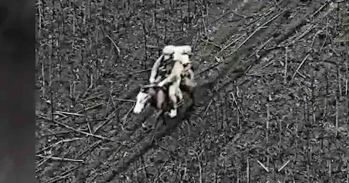 De ce revin caii pe câmpul de luptă. Forbes explică noua tactică a armatei ruse