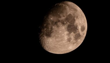 Rusia vrea să construiască o centrală nucleară pe Lună în următorii zece ani. Rosatom și Institutul Kurchatov, implicate în proiect