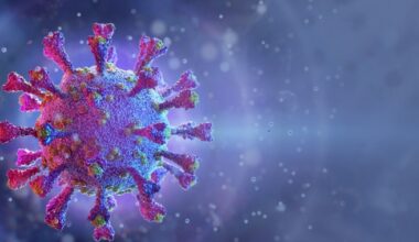 Europa, din nou în alertă: un virus mortal, mai periculos decât COVID, a fost confirmat în Franța