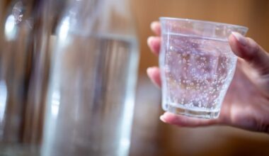 Apă gratuită în metrou, aeroporturi, gări și în toate instituțiile publice. Condițiile de funcționare a dozatoarelor - proiect