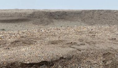Terase de nisip de aproape un metru pe litoral sculptate de vântul puternic. Ce este fenomenul de cliffing